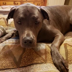 Meet your Posher, Liza